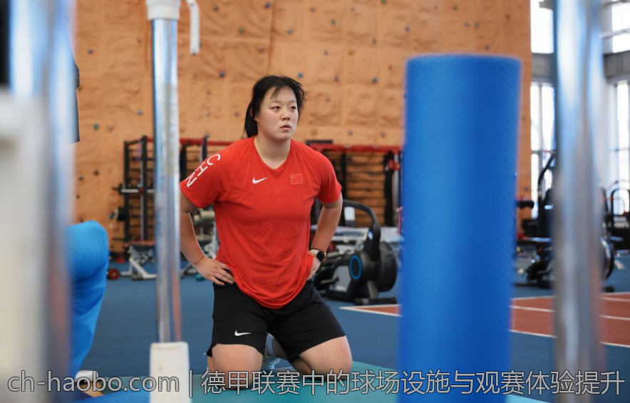 德甲联赛中的球场设施与观赛体验提升