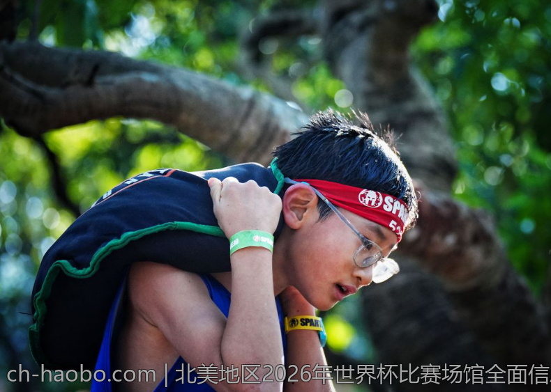北美地区2026年世界杯比赛场馆全面信息汇总